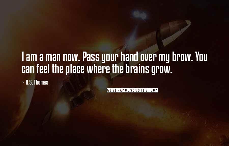 R.S. Thomas Quotes: I am a man now. Pass your hand over my brow. You can feel the place where the brains grow.