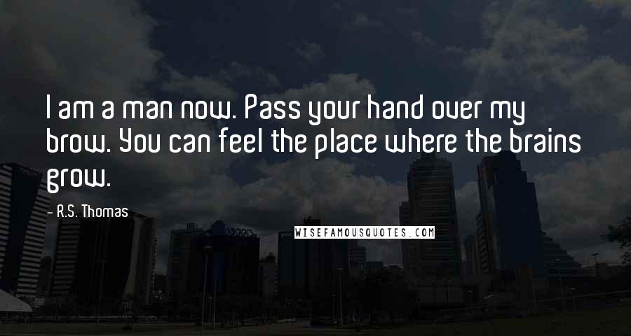 R.S. Thomas Quotes: I am a man now. Pass your hand over my brow. You can feel the place where the brains grow.
