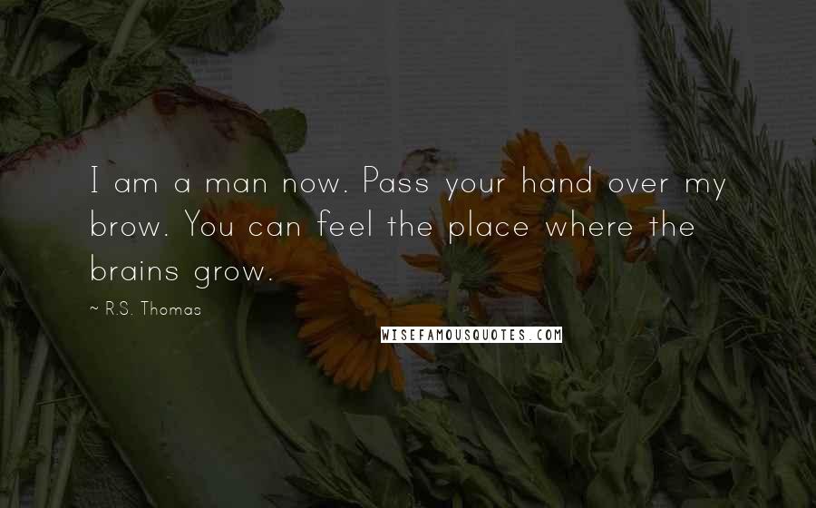 R.S. Thomas Quotes: I am a man now. Pass your hand over my brow. You can feel the place where the brains grow.