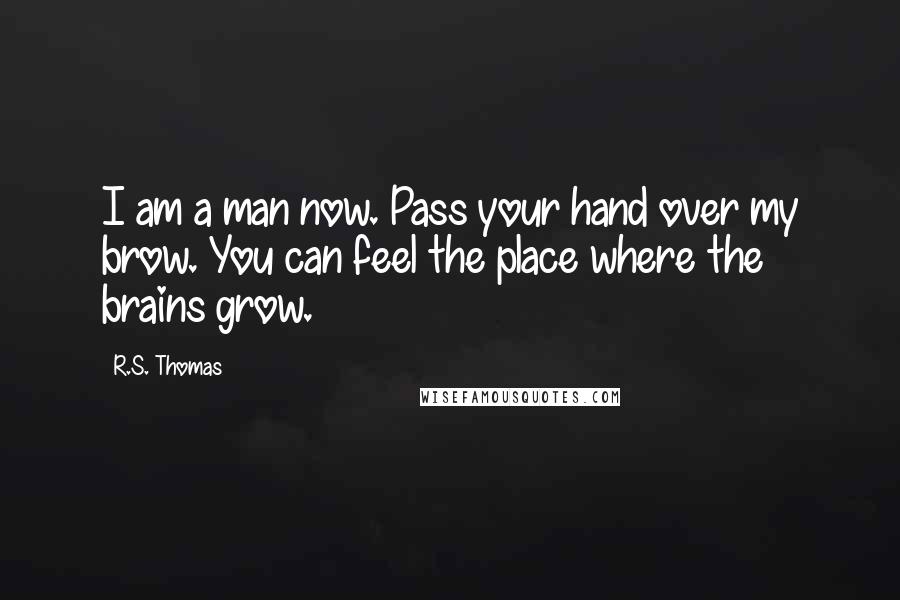 R.S. Thomas Quotes: I am a man now. Pass your hand over my brow. You can feel the place where the brains grow.
