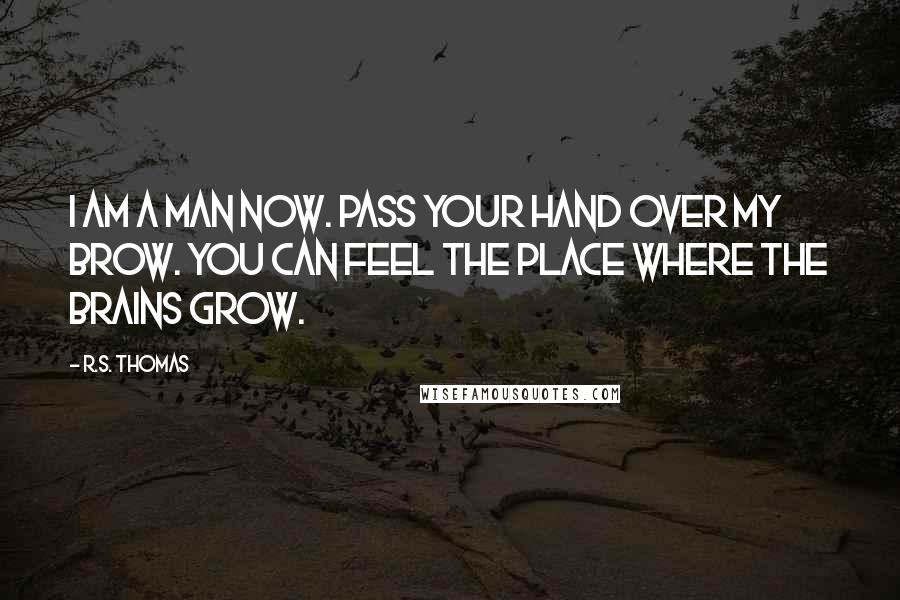 R.S. Thomas Quotes: I am a man now. Pass your hand over my brow. You can feel the place where the brains grow.