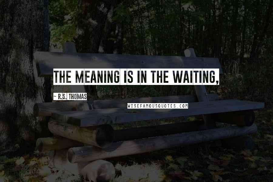 R.S. Thomas Quotes: The meaning is in the waiting,