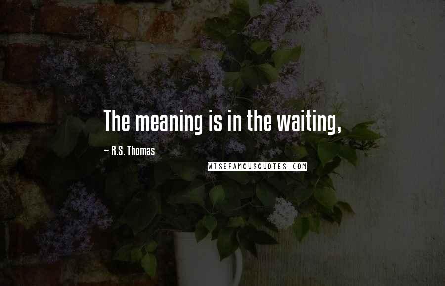 R.S. Thomas Quotes: The meaning is in the waiting,