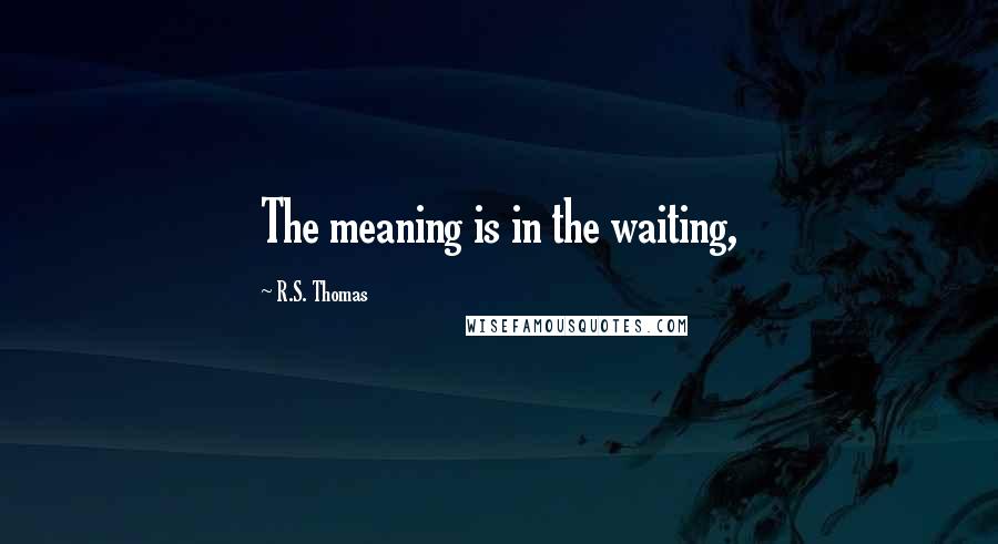 R.S. Thomas Quotes: The meaning is in the waiting,