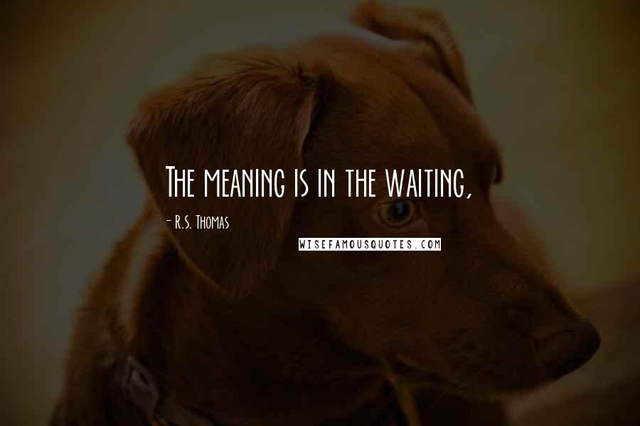 R.S. Thomas Quotes: The meaning is in the waiting,
