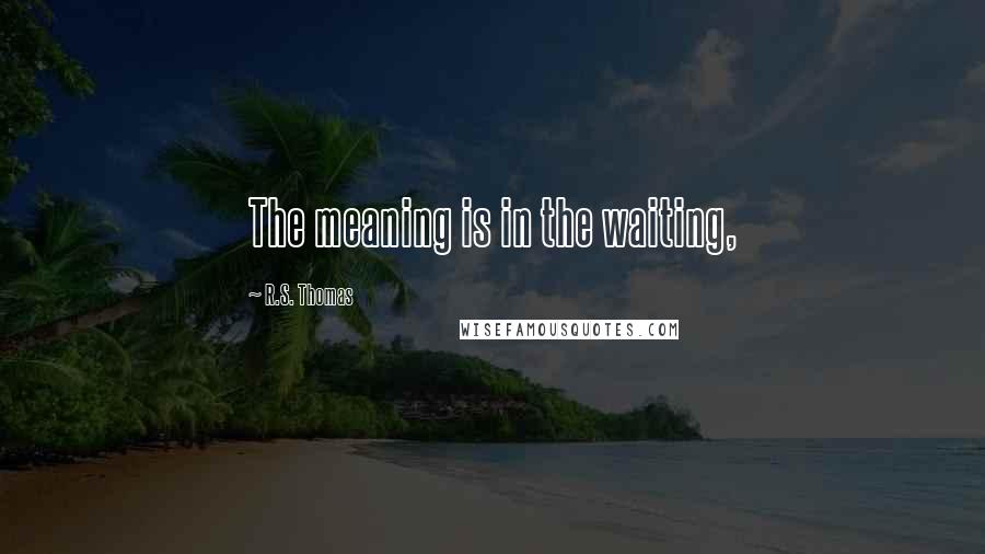 R.S. Thomas Quotes: The meaning is in the waiting,