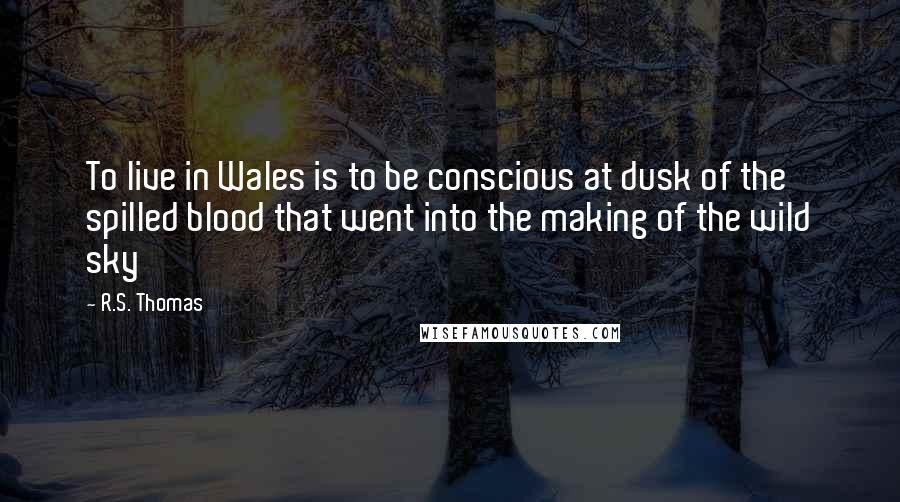 R.S. Thomas Quotes: To live in Wales is to be conscious at dusk of the spilled blood that went into the making of the wild sky