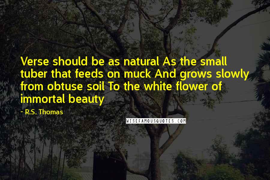 R.S. Thomas Quotes: Verse should be as natural As the small tuber that feeds on muck And grows slowly from obtuse soil To the white flower of immortal beauty