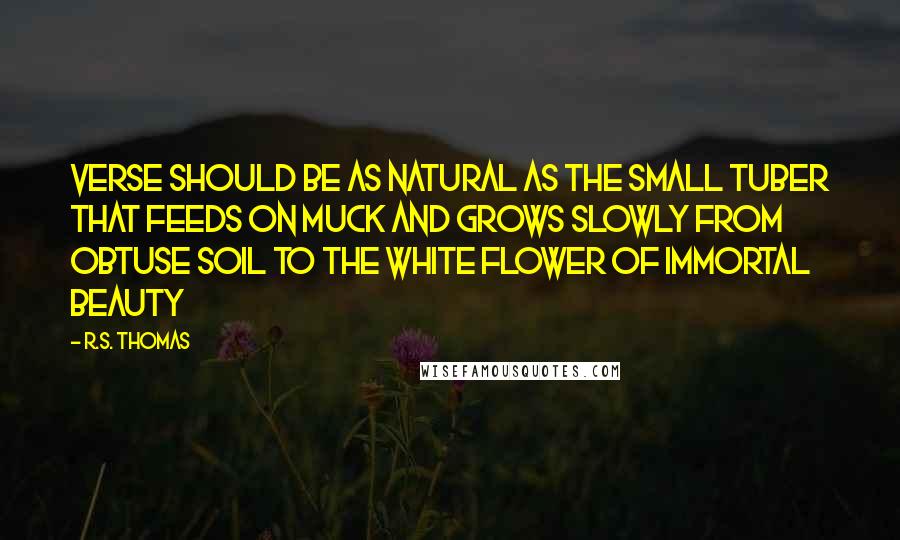 R.S. Thomas Quotes: Verse should be as natural As the small tuber that feeds on muck And grows slowly from obtuse soil To the white flower of immortal beauty