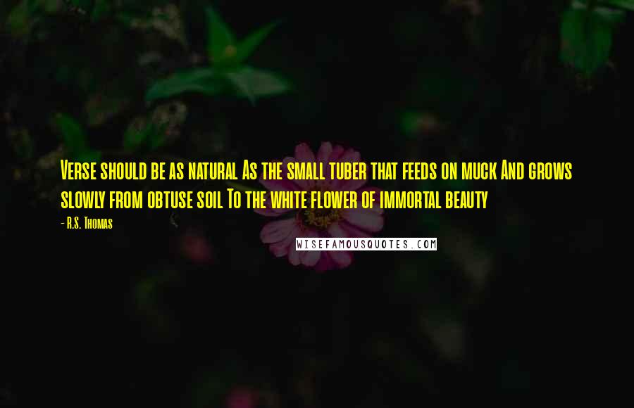 R.S. Thomas Quotes: Verse should be as natural As the small tuber that feeds on muck And grows slowly from obtuse soil To the white flower of immortal beauty