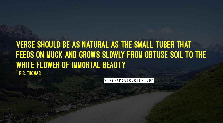 R.S. Thomas Quotes: Verse should be as natural As the small tuber that feeds on muck And grows slowly from obtuse soil To the white flower of immortal beauty