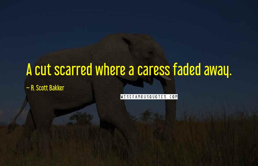 R. Scott Bakker Quotes: A cut scarred where a caress faded away.