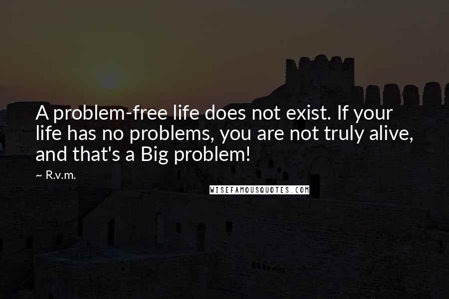 R.v.m. Quotes: A problem-free life does not exist. If your life has no problems, you are not truly alive, and that's a Big problem!