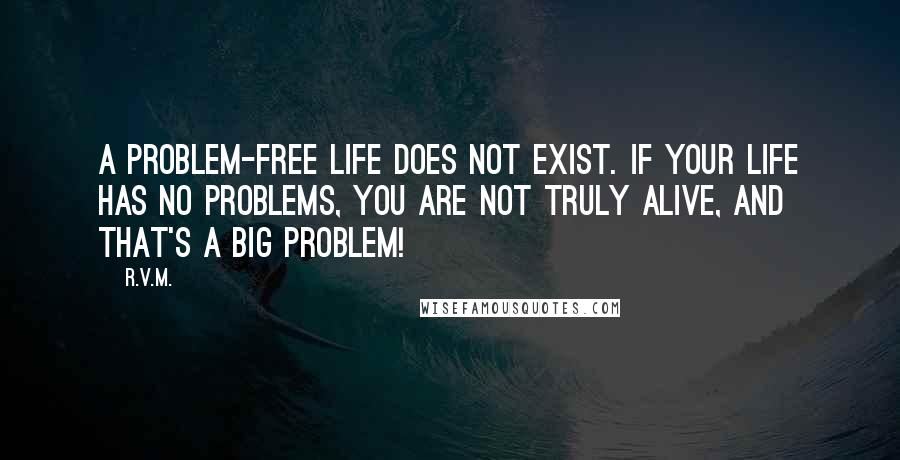 R.v.m. Quotes: A problem-free life does not exist. If your life has no problems, you are not truly alive, and that's a Big problem!