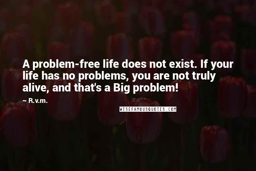 R.v.m. Quotes: A problem-free life does not exist. If your life has no problems, you are not truly alive, and that's a Big problem!