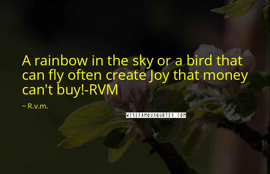 R.v.m. Quotes: A rainbow in the sky or a bird that can fly often create Joy that money can't buy!-RVM