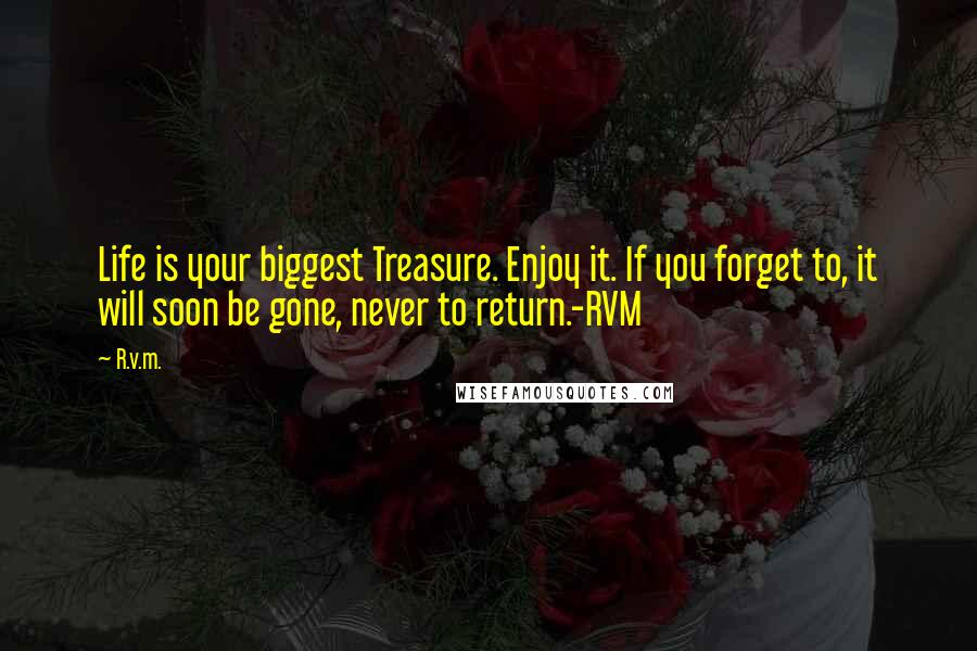 R.v.m. Quotes: Life is your biggest Treasure. Enjoy it. If you forget to, it will soon be gone, never to return.-RVM