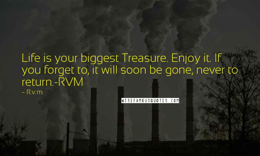 R.v.m. Quotes: Life is your biggest Treasure. Enjoy it. If you forget to, it will soon be gone, never to return.-RVM