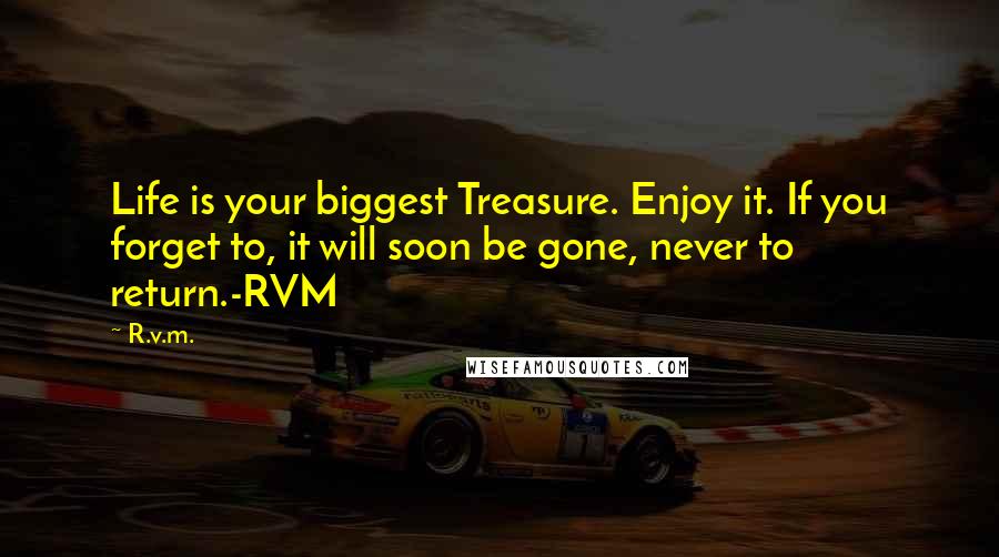 R.v.m. Quotes: Life is your biggest Treasure. Enjoy it. If you forget to, it will soon be gone, never to return.-RVM