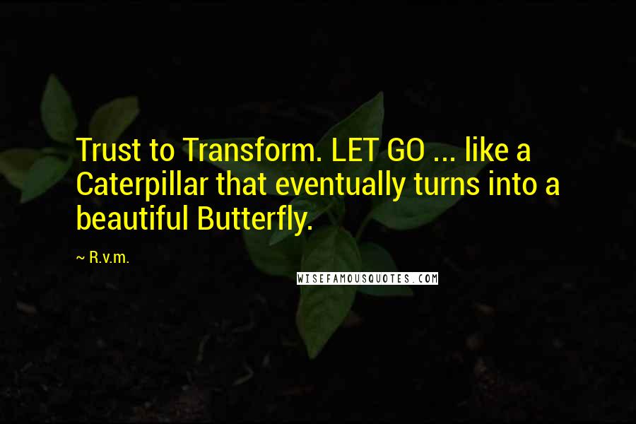 R.v.m. Quotes: Trust to Transform. LET GO ... like a Caterpillar that eventually turns into a beautiful Butterfly.