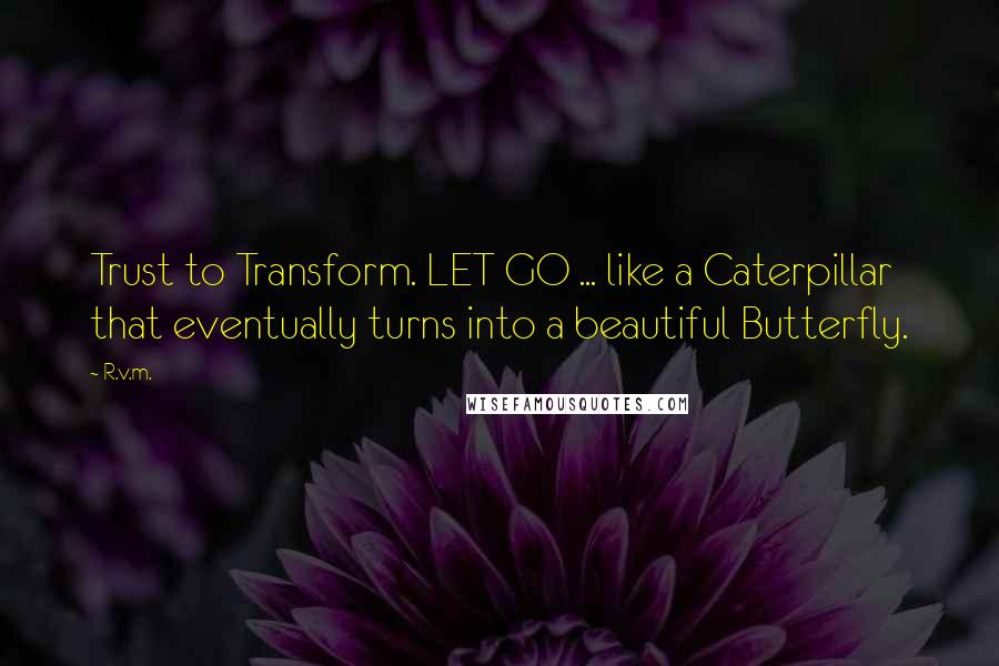 R.v.m. Quotes: Trust to Transform. LET GO ... like a Caterpillar that eventually turns into a beautiful Butterfly.