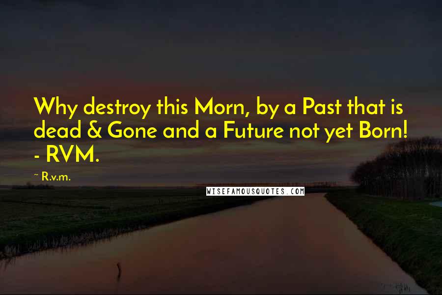 R.v.m. Quotes: Why destroy this Morn, by a Past that is dead & Gone and a Future not yet Born! - RVM.