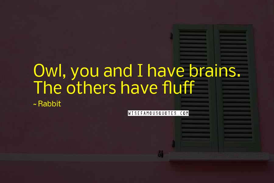 Rabbit Quotes: Owl, you and I have brains. The others have fluff