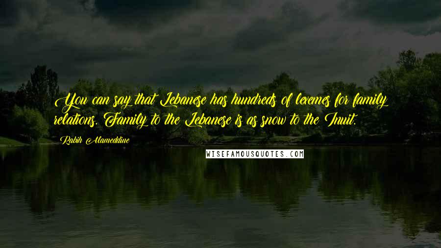 Rabih Alameddine Quotes: You can say that Lebanese has hundreds of lexemes for family relations. Family to the Lebanese is as snow to the Inuit.
