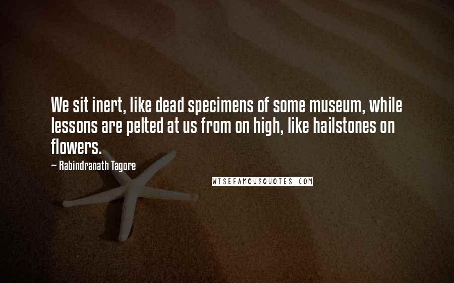 Rabindranath Tagore Quotes: We sit inert, like dead specimens of some museum, while lessons are pelted at us from on high, like hailstones on flowers.