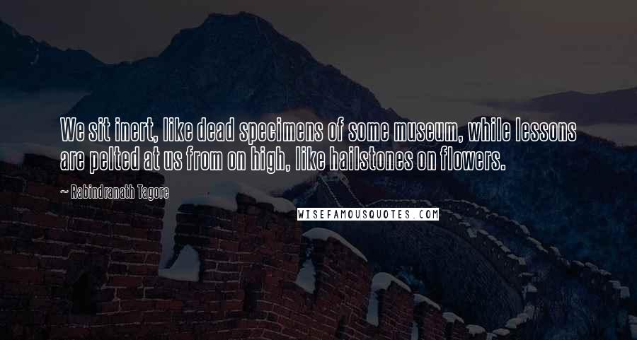 Rabindranath Tagore Quotes: We sit inert, like dead specimens of some museum, while lessons are pelted at us from on high, like hailstones on flowers.