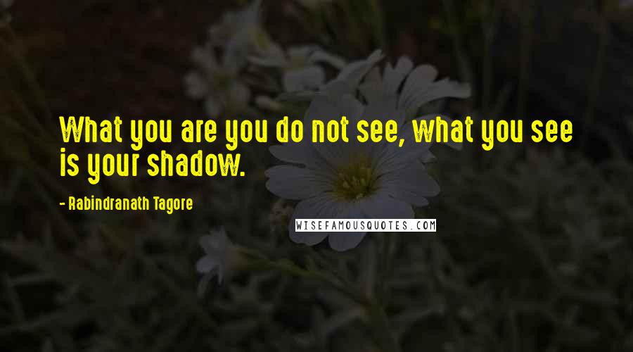 Rabindranath Tagore Quotes: What you are you do not see, what you see is your shadow.