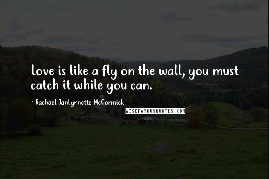 Rachael JanLynnette McCormick Quotes: Love is like a fly on the wall, you must catch it while you can.