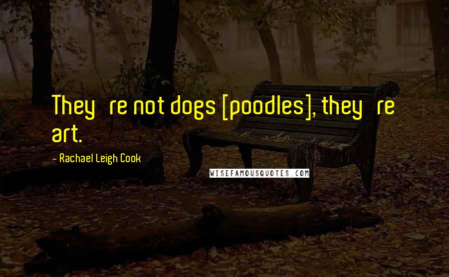 Rachael Leigh Cook Quotes: They're not dogs [poodles], they're art.