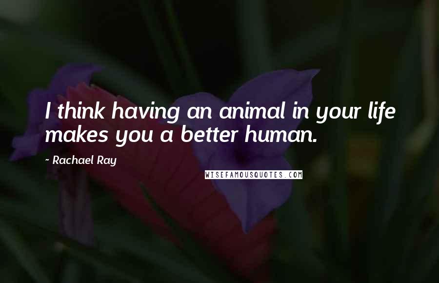 Rachael Ray Quotes: I think having an animal in your life makes you a better human.