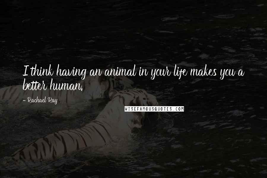 Rachael Ray Quotes: I think having an animal in your life makes you a better human.