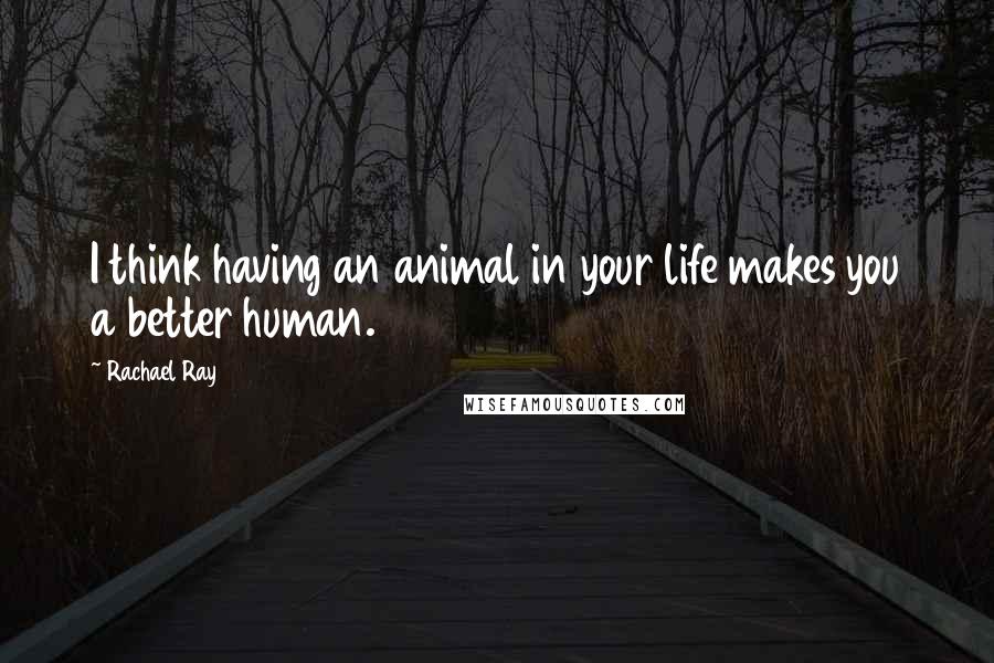 Rachael Ray Quotes: I think having an animal in your life makes you a better human.