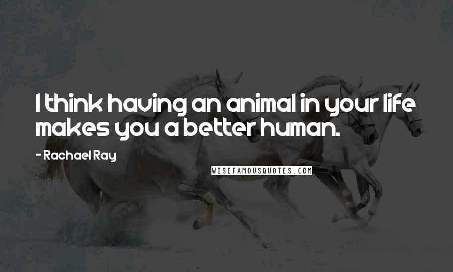 Rachael Ray Quotes: I think having an animal in your life makes you a better human.