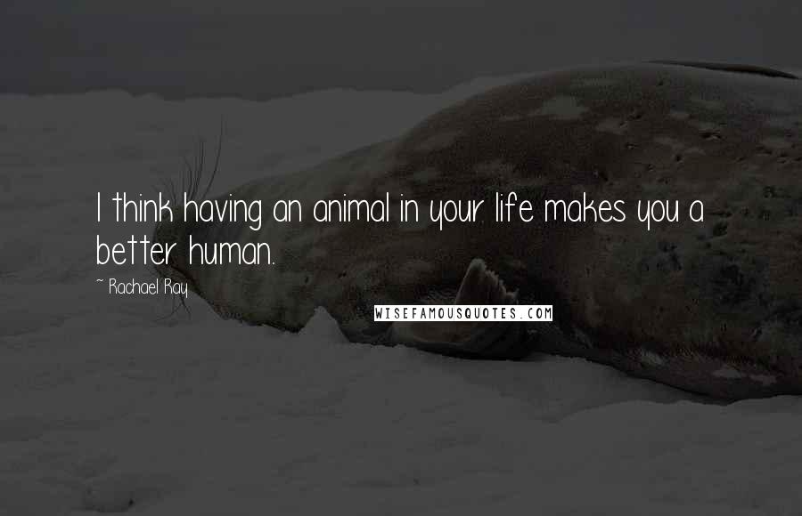 Rachael Ray Quotes: I think having an animal in your life makes you a better human.