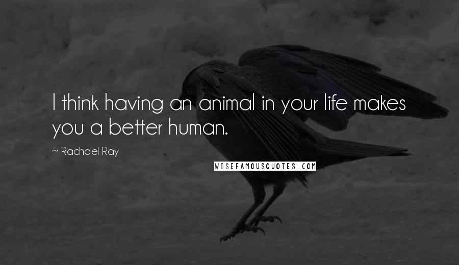 Rachael Ray Quotes: I think having an animal in your life makes you a better human.