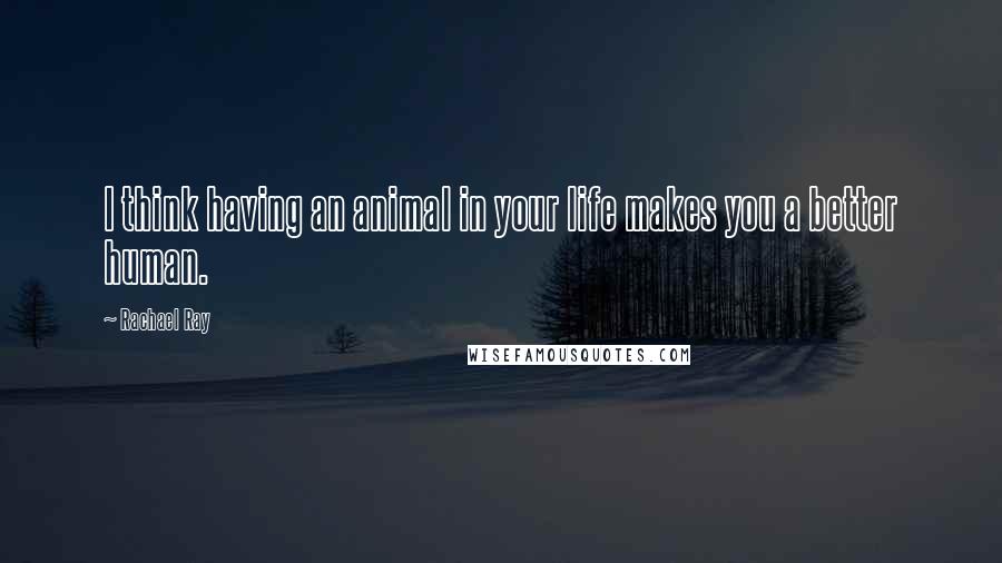 Rachael Ray Quotes: I think having an animal in your life makes you a better human.
