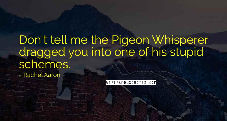 Rachel Aaron Quotes: Don't tell me the Pigeon Whisperer dragged you into one of his stupid schemes.