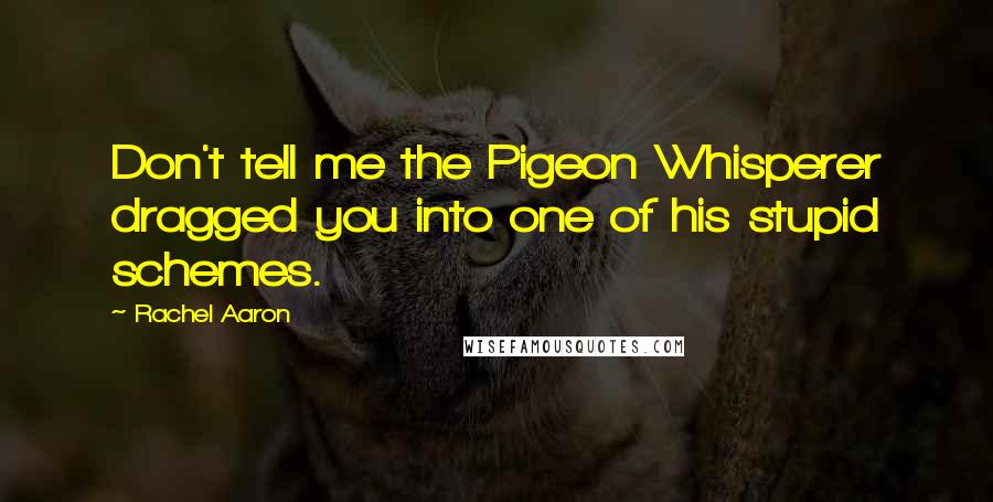 Rachel Aaron Quotes: Don't tell me the Pigeon Whisperer dragged you into one of his stupid schemes.