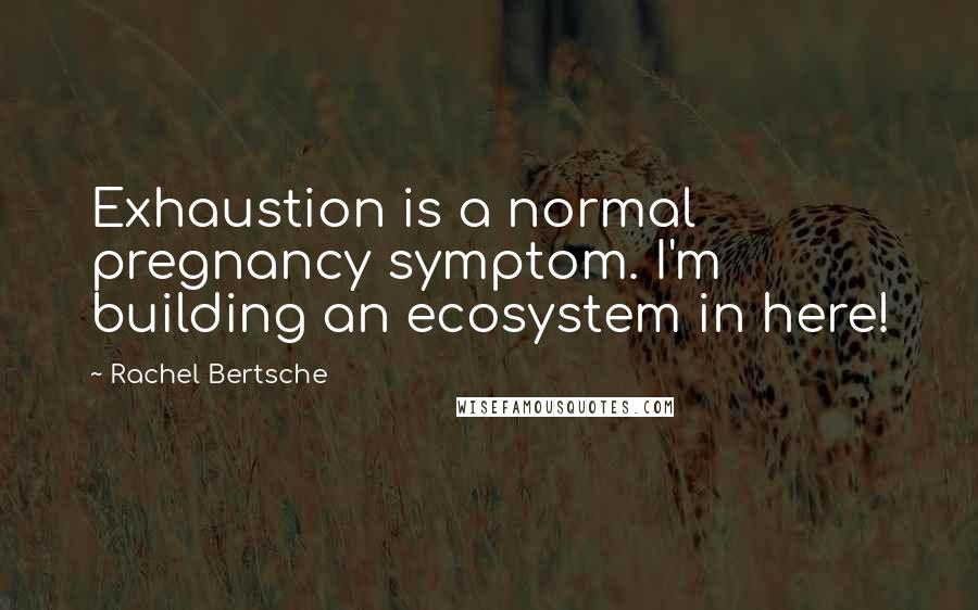 Rachel Bertsche Quotes: Exhaustion is a normal pregnancy symptom. I'm building an ecosystem in here!