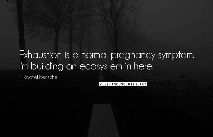 Rachel Bertsche Quotes: Exhaustion is a normal pregnancy symptom. I'm building an ecosystem in here!