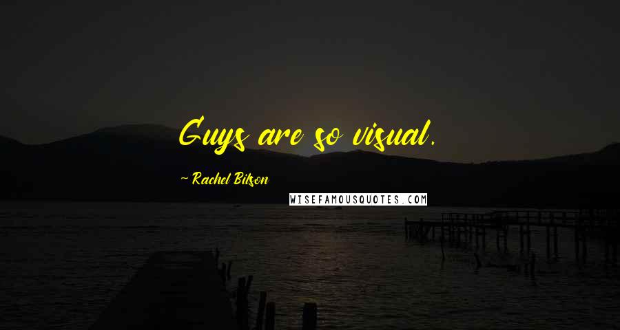 Rachel Bilson Quotes: Guys are so visual.