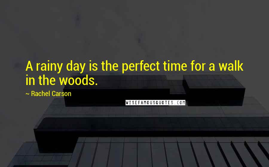 Rachel Carson Quotes: A rainy day is the perfect time for a walk in the woods.