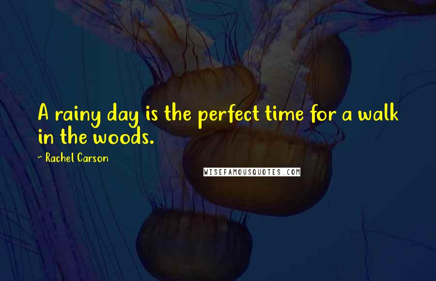 Rachel Carson Quotes: A rainy day is the perfect time for a walk in the woods.