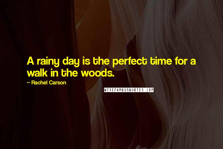 Rachel Carson Quotes: A rainy day is the perfect time for a walk in the woods.