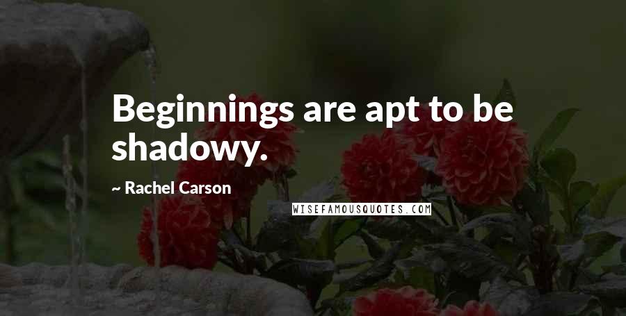 Rachel Carson Quotes: Beginnings are apt to be shadowy.