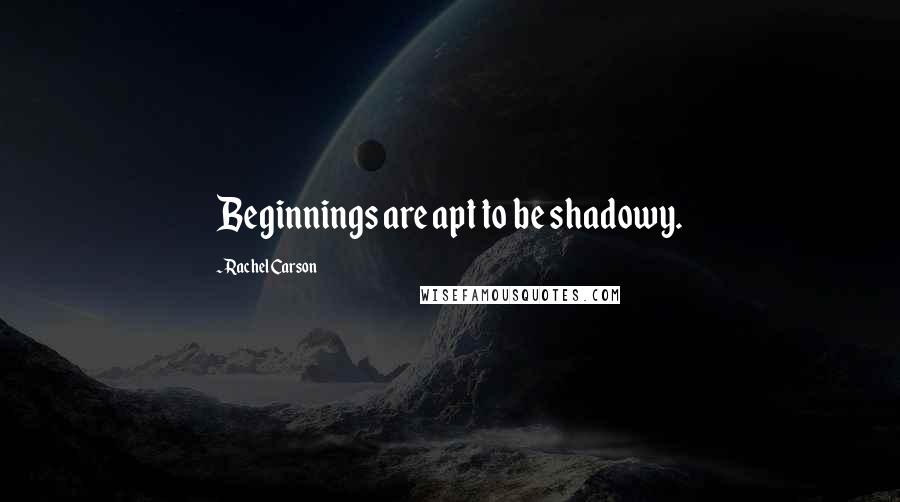 Rachel Carson Quotes: Beginnings are apt to be shadowy.